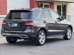 
										2015 Mercedes-Benz ML350 full									