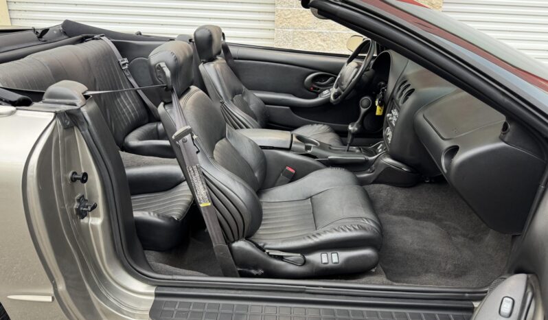 
								2002 Pontiac Firebird Trans Am full									